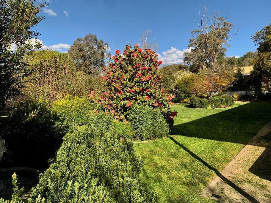 Holiday home Beautiful 1960s In Historic Yackandandah