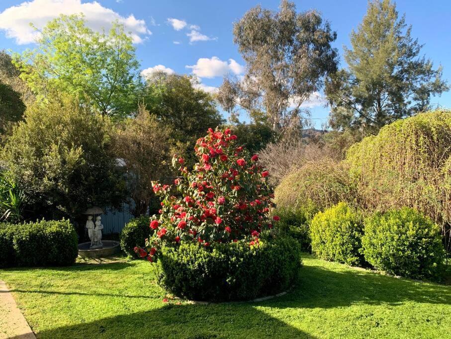 Beautiful 1960s In Historic Holiday home Yackandandah